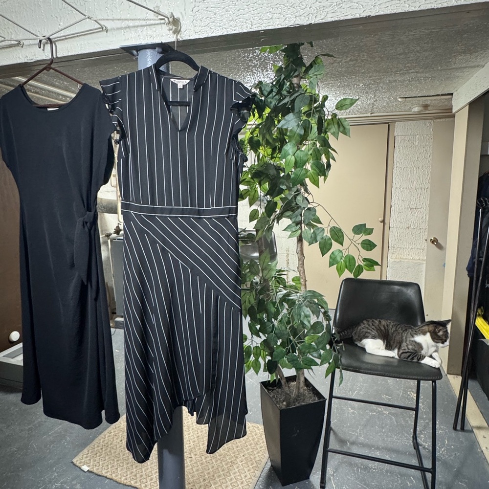 Black and White Striped Dress